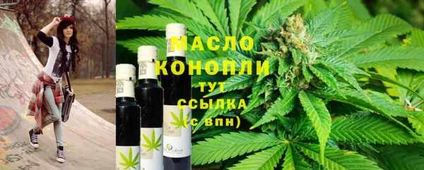 молекула духа Арсеньев