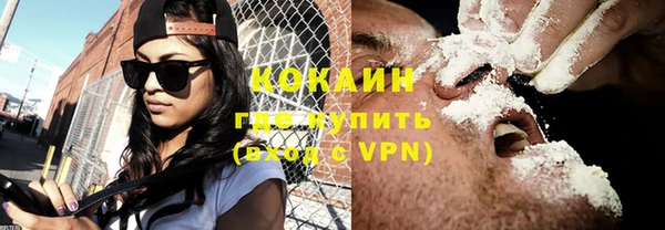 индика Лиски