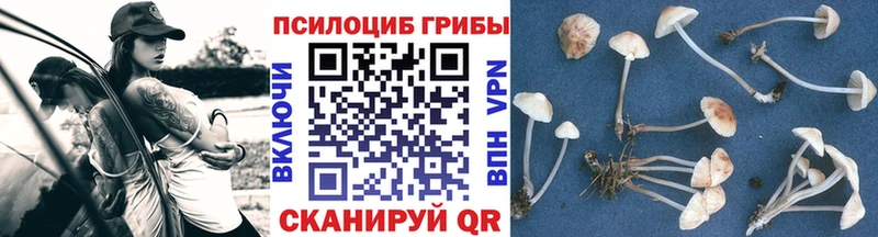 Псилоцибиновые грибы Psilocybe  Семёнов 